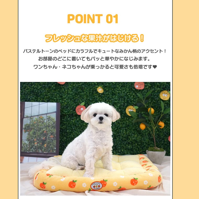 tangerine bed L size / 犬用 ベッド スクエア Lサイズ ふんわり 冬 クッション 滑り止め 韓国 ペットベッド 大型犬 中型犬 犬 ハウス 柔らか ふわふわ ソファー ボア もこもこ可愛い