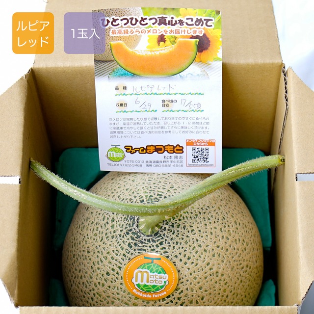 最高級富良野メロン ルピアレッド 秀品 大玉(1.6〜2.0キロ未満)1玉入