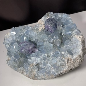 7.色合い綺麗✩セレスタイトに住み着いているフローライトハリネズミさん