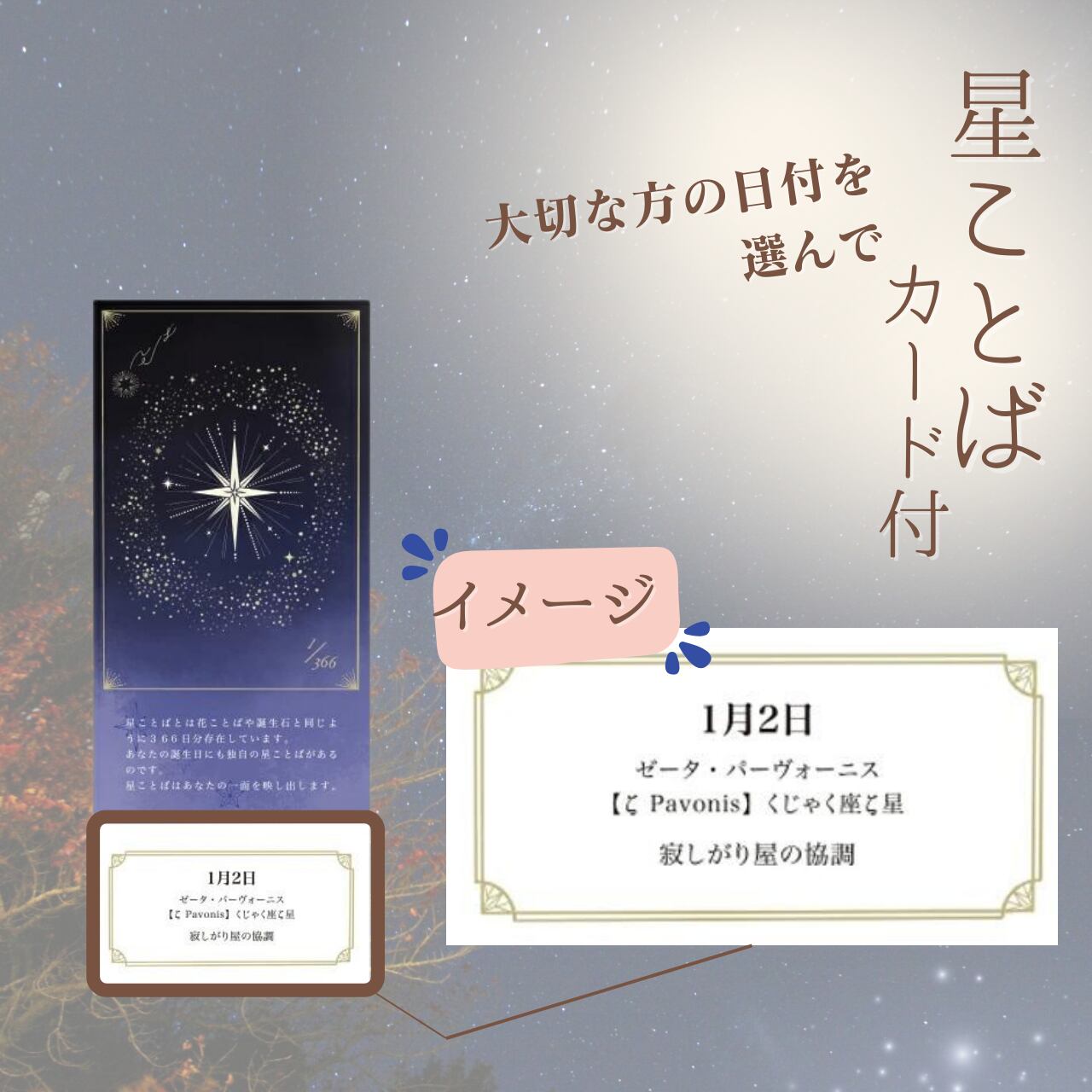 星空デザイン 扇子とカードセット 星空デザイン 扇子とカードセット 星空の扇子(スターチェーン⁄ケース
