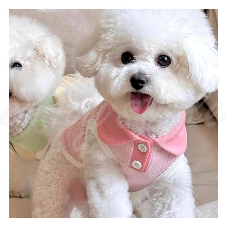 マカロン ポロシャツ風デザイン♪ ドッグウエア タンクトップ 犬服 犬