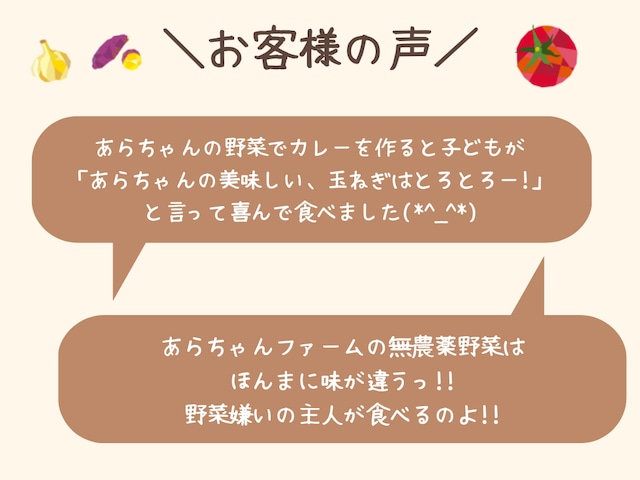 【定期便：月1回】旬の野菜セットM