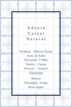 [今月のデイリー] Adaura Catuai Natural