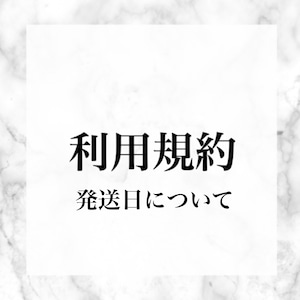 購入前に必ず一読お願いします。