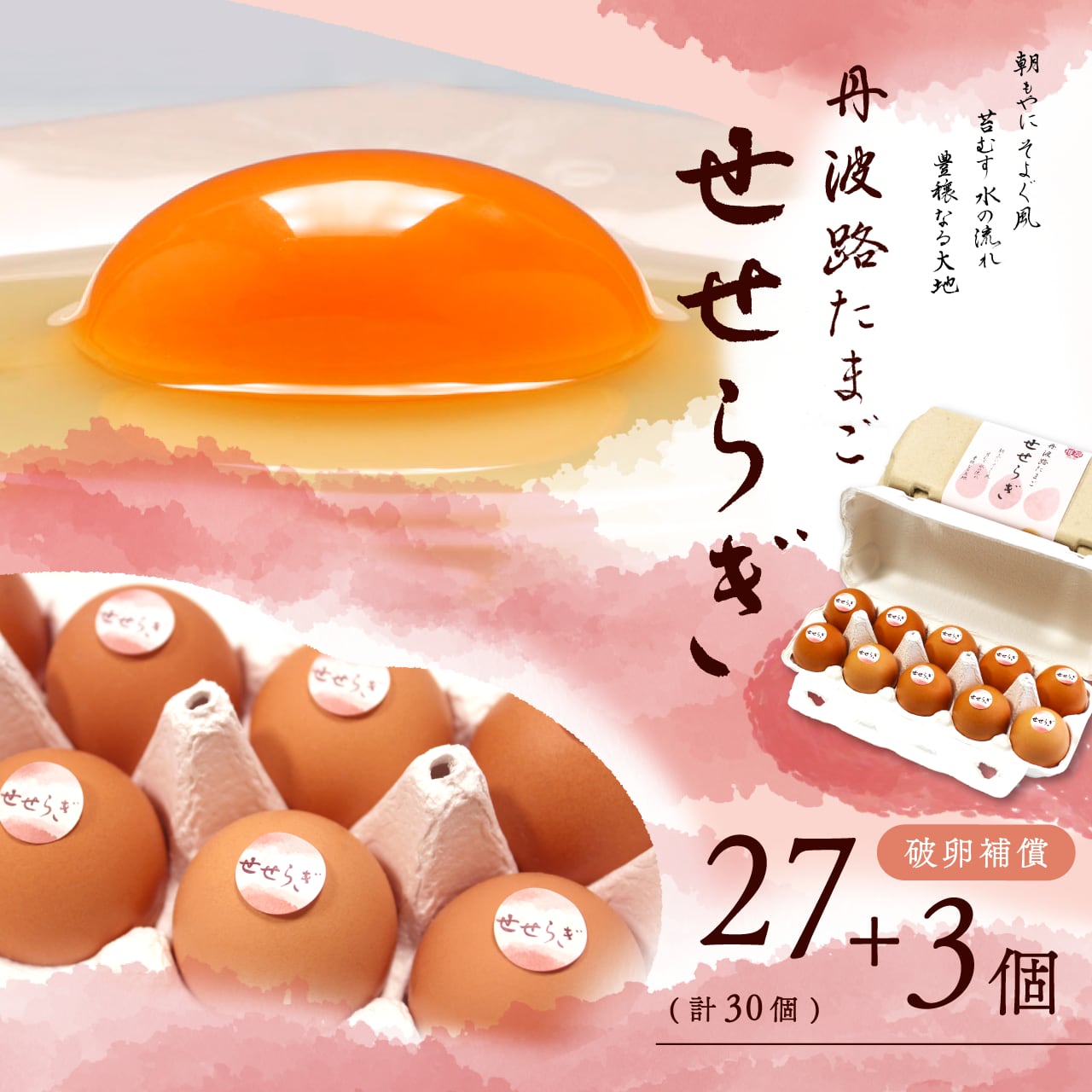 丹波路たまご せせらぎ 27個＋3個破卵補償（計30個）