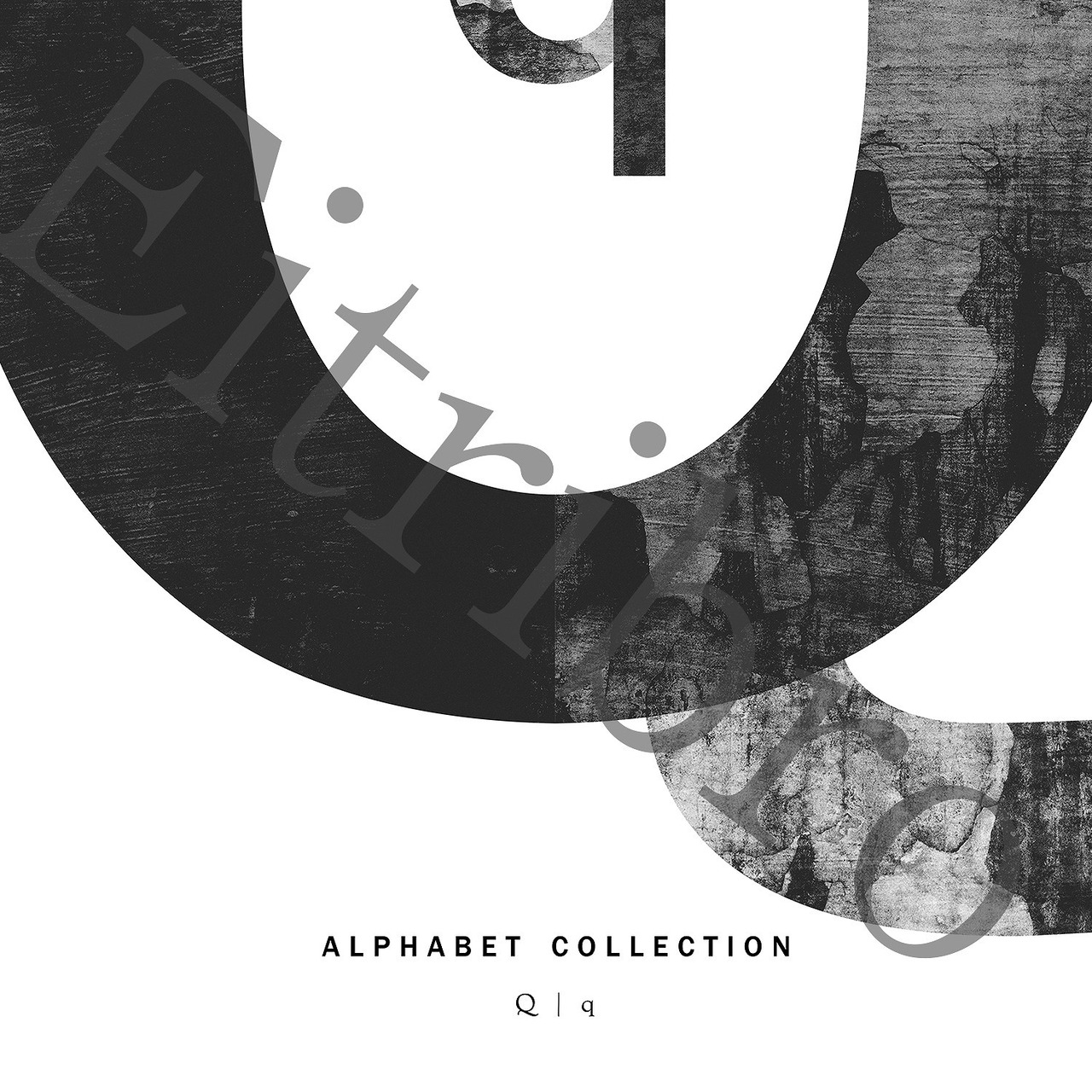 アートポスター / ALPHABET COLLECTION：Q　eb081q