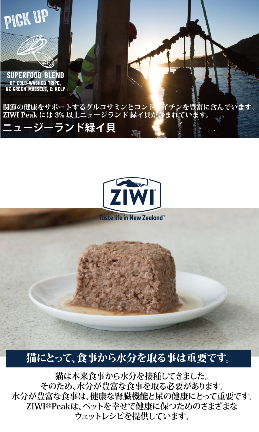 ZIWI Peak (ジウィ ピーク) キャット缶 ビーフ 85g×12缶｜全猫種・全
