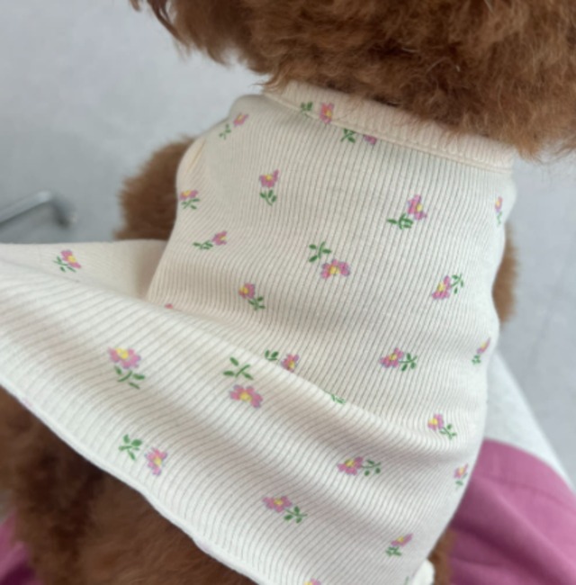【予約】[ahtaeripet] Flower Ribbed Sleeveless Soft Loungewear (Pink