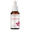 KOSMEA/コスメア】オーガニックローズヒップオイル 42ml | KOSMEA
