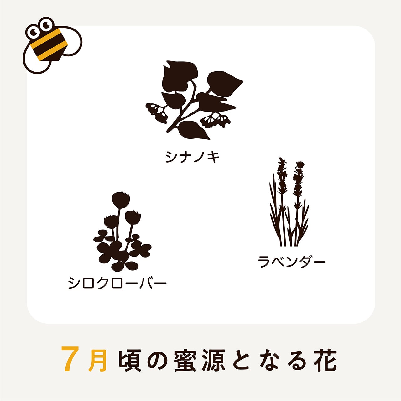 みつばちみっち② 北海道蜂蜜2本セット | 商品詳細 | 高島屋オンラインストア