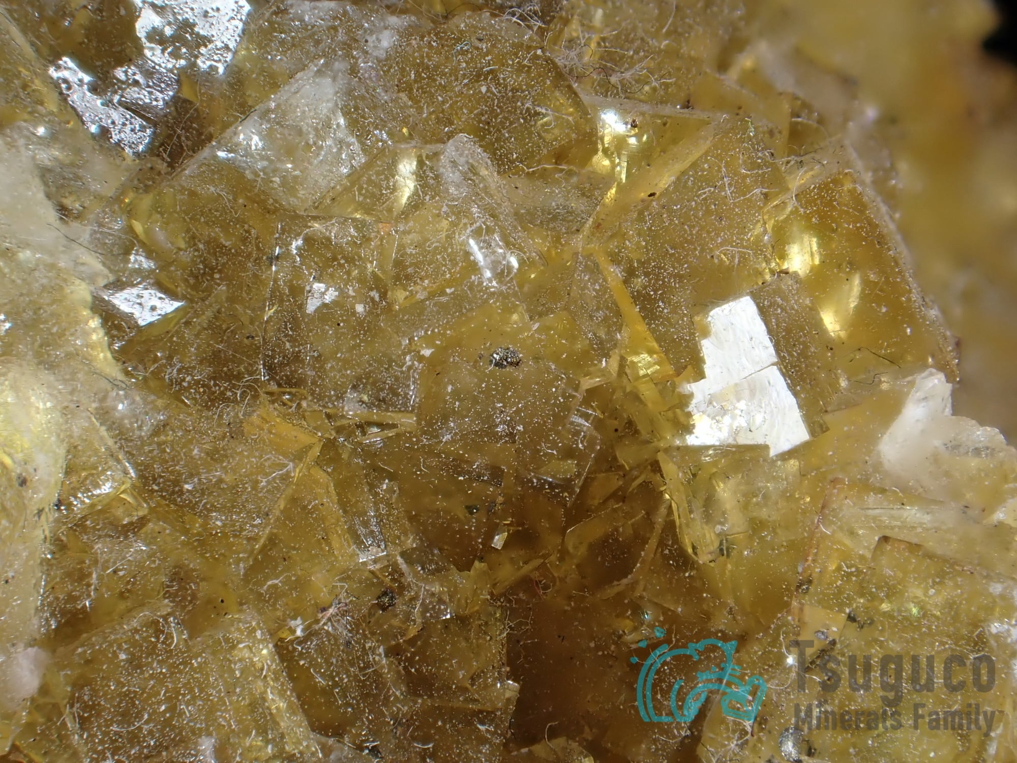 フローライト 蛍石 チェコ TM-778 | つぐこみねらるず ｜鉱物・原石