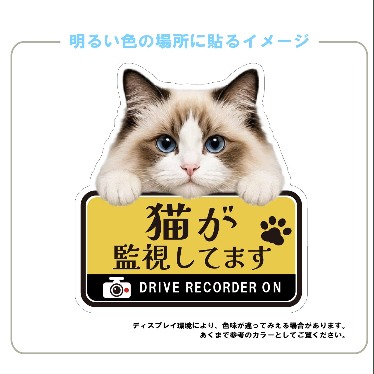 ラグドール・猫・CAT・cat・ドライブレコーダー・ドラレコステッカー・撮影中・車・ステッカー・インクジェット印刷・屋外用・猫好き・ドライブグッズ・監視しています・おもしろい・かわいい・肉球