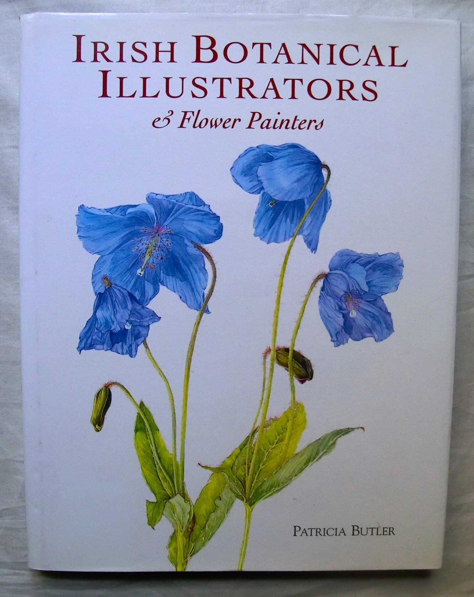 アイリッシュ・ボタニカルアート 植物画・花の絵 Irish Botanical