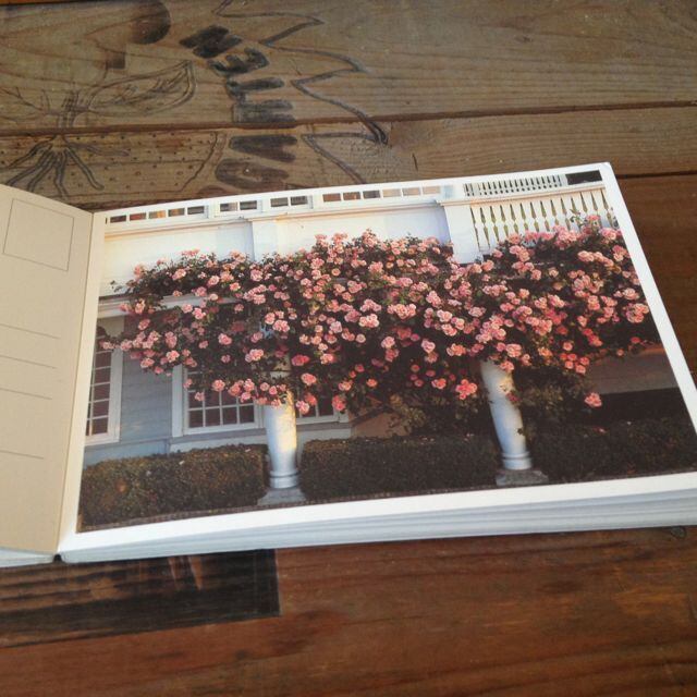 Rosen 30 Postkartenバラのポストカードセット | .usagi