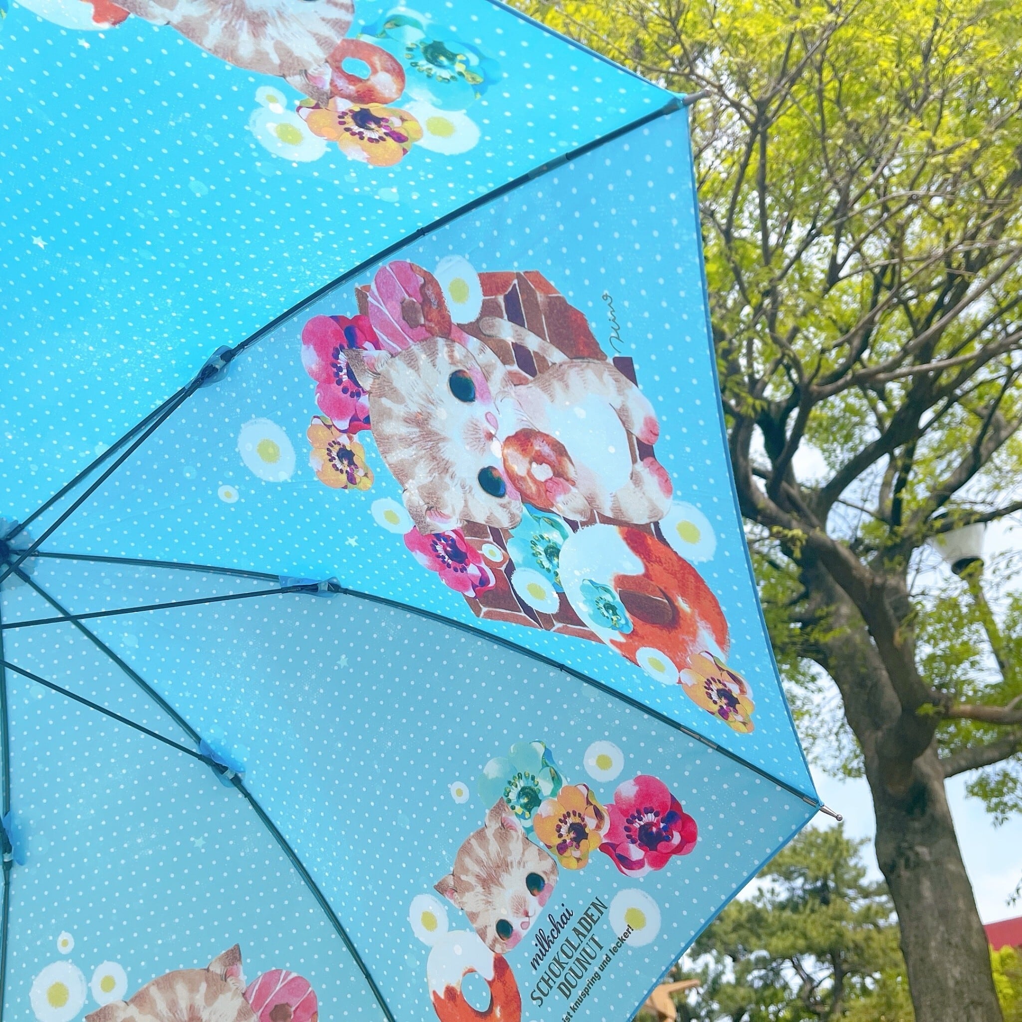 さえら☆ポテチーノ新品タグ付希少品　　　　　　　　　　　　　　雨傘　お花モチーフ DiCesare Designs】Kabocha ONE TONE | 藤巻百貨店