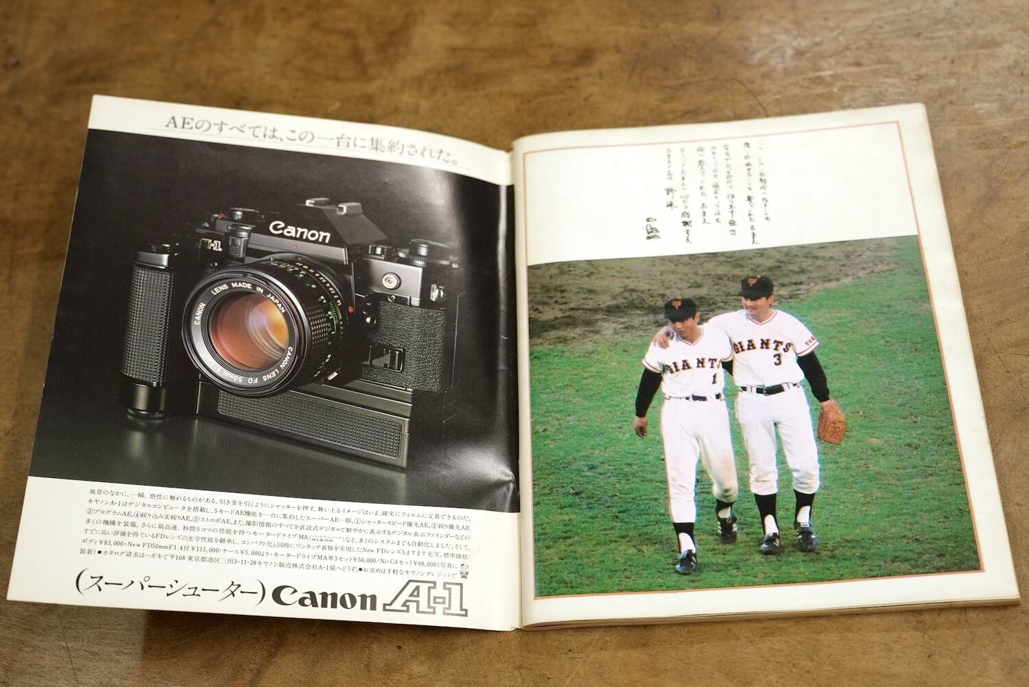 4318M2 王貞治 OH!偉大なり868号 報知グラフ別冊 緊急特集 1980年 昭和