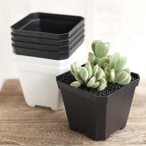 Solid Square Pot  10cm ブラック 10個セット