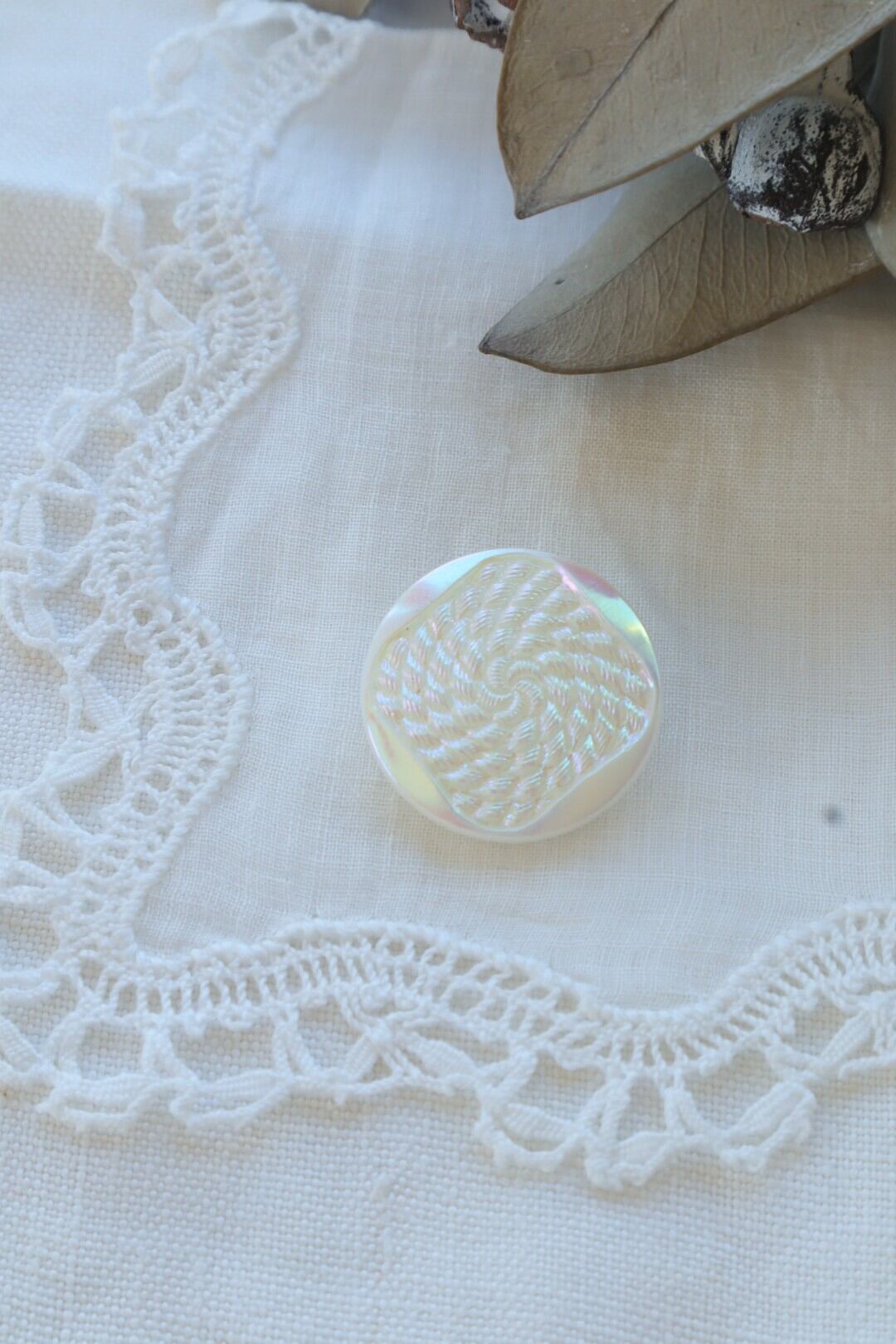 France製 50㎝ アンティーク花刺繍レース C1123 オフホワイト | vmt