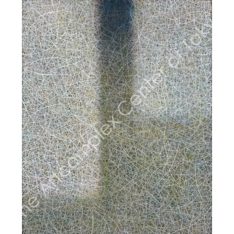 坂本匡之「空と間(kuutoma)25-08」