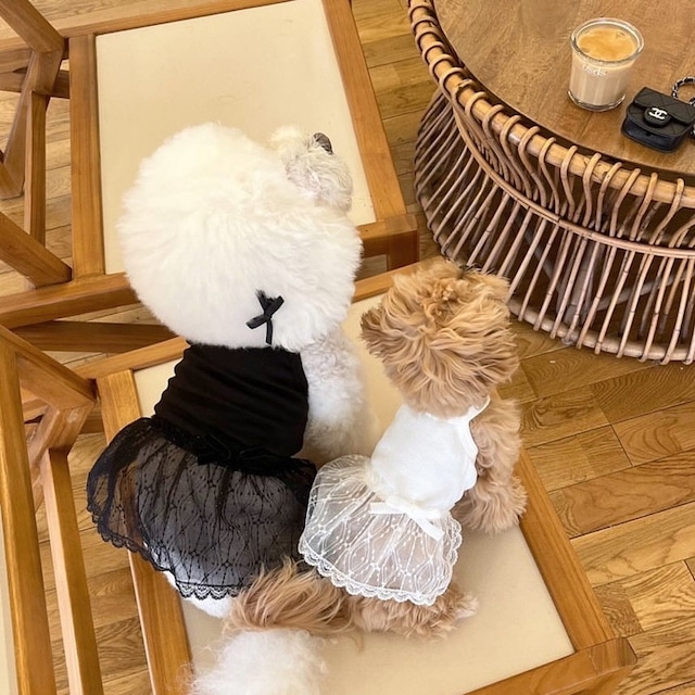 【PET】全2色プリンセス風レース裾キャミワンピース