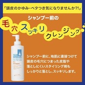 Seabreeze シーブリーズ シャンプー前の毛穴すっきりクレンジング 200ml