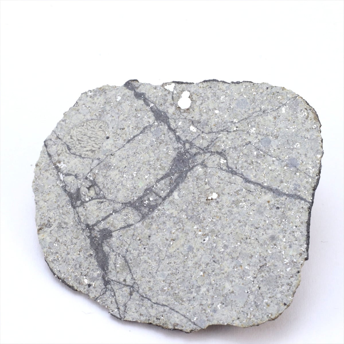 ビニャーレス 隕石 10.7g 普通コンドライトL6 石質隕石 標本 Vinales