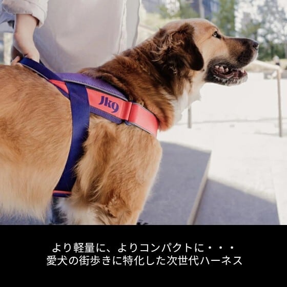 日本総代理店直営店】【Julius-K9】【メッシュタイプ】ユリウス