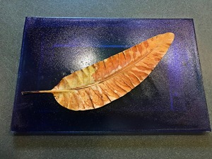 マンゴーの葉・平皿BLUE2　