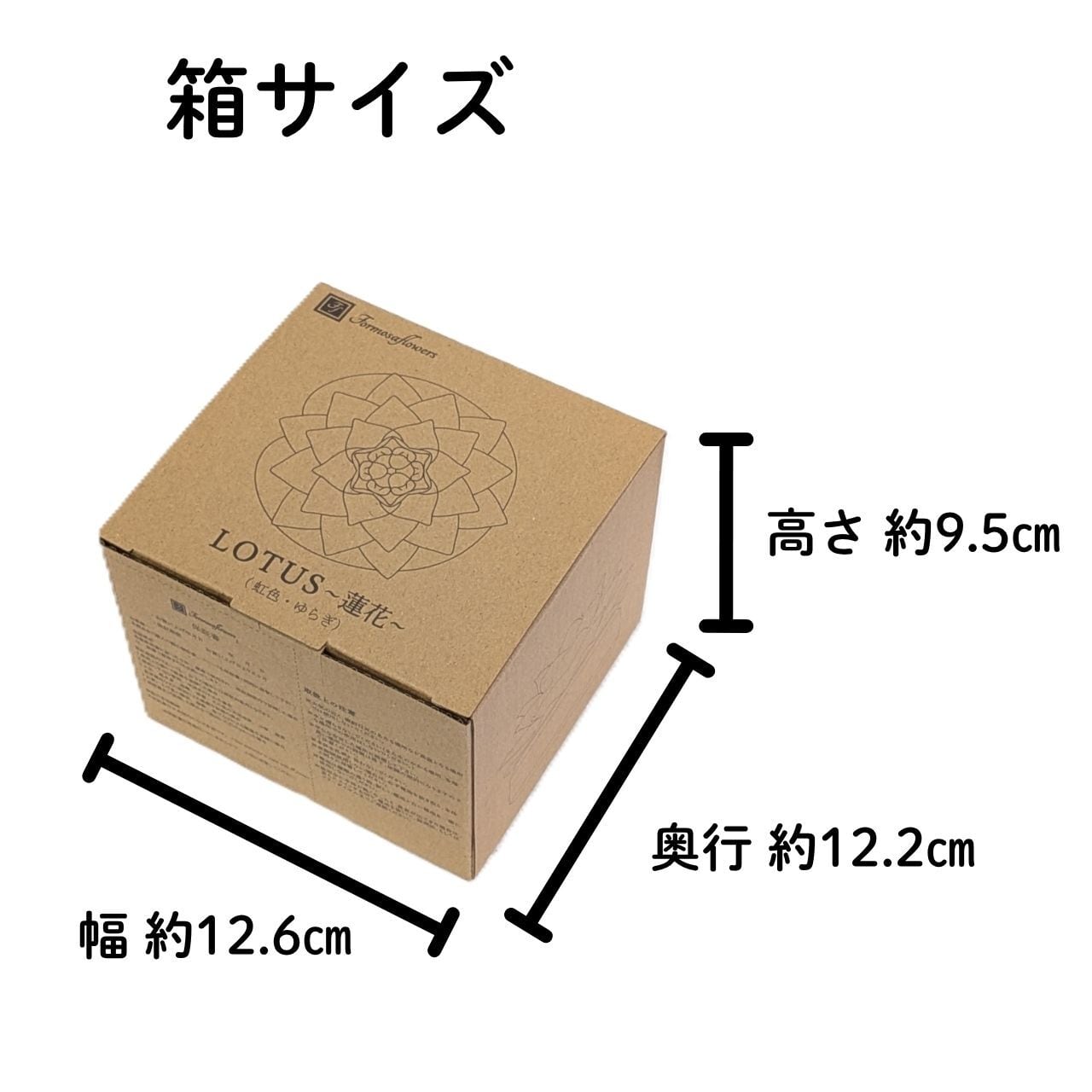 ロータス -蓮花- 2個 送料無料 電池入り タイマー機能付 虹色 七色
