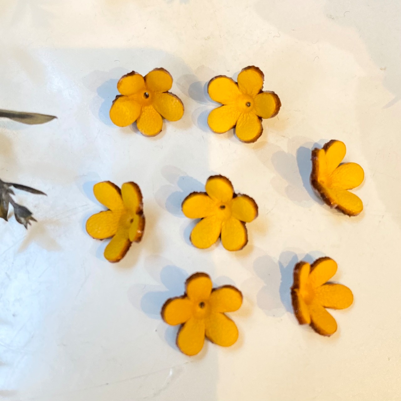 【アウトレット】ジャスミン (ピン無しタイプ)7個入(イエロー） - 3