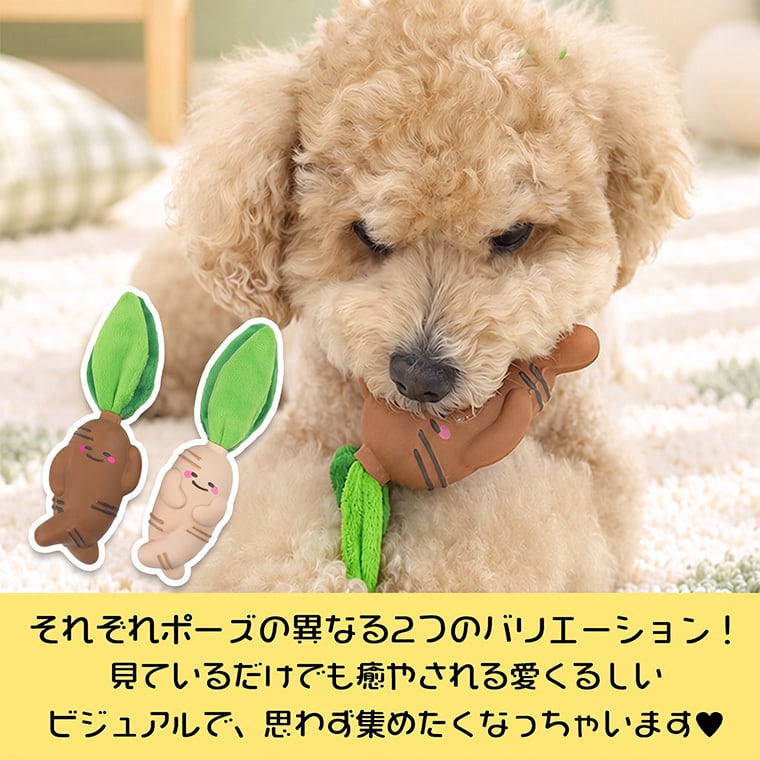 A+ginseng latex toy 2color /  ペット 犬 おもちゃ 噛む 音が鳴る 知育玩具 鳴き笛入り 可愛い わんちゃん おもちゃ ラテックス トイ ストレス解消 韓国 ペット用品