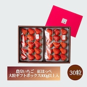 【1月5日~1月12日中に発送】 農皇いちご 【紅ほっぺ】ギフトボックス☆大粒 900g以上 30粒入り