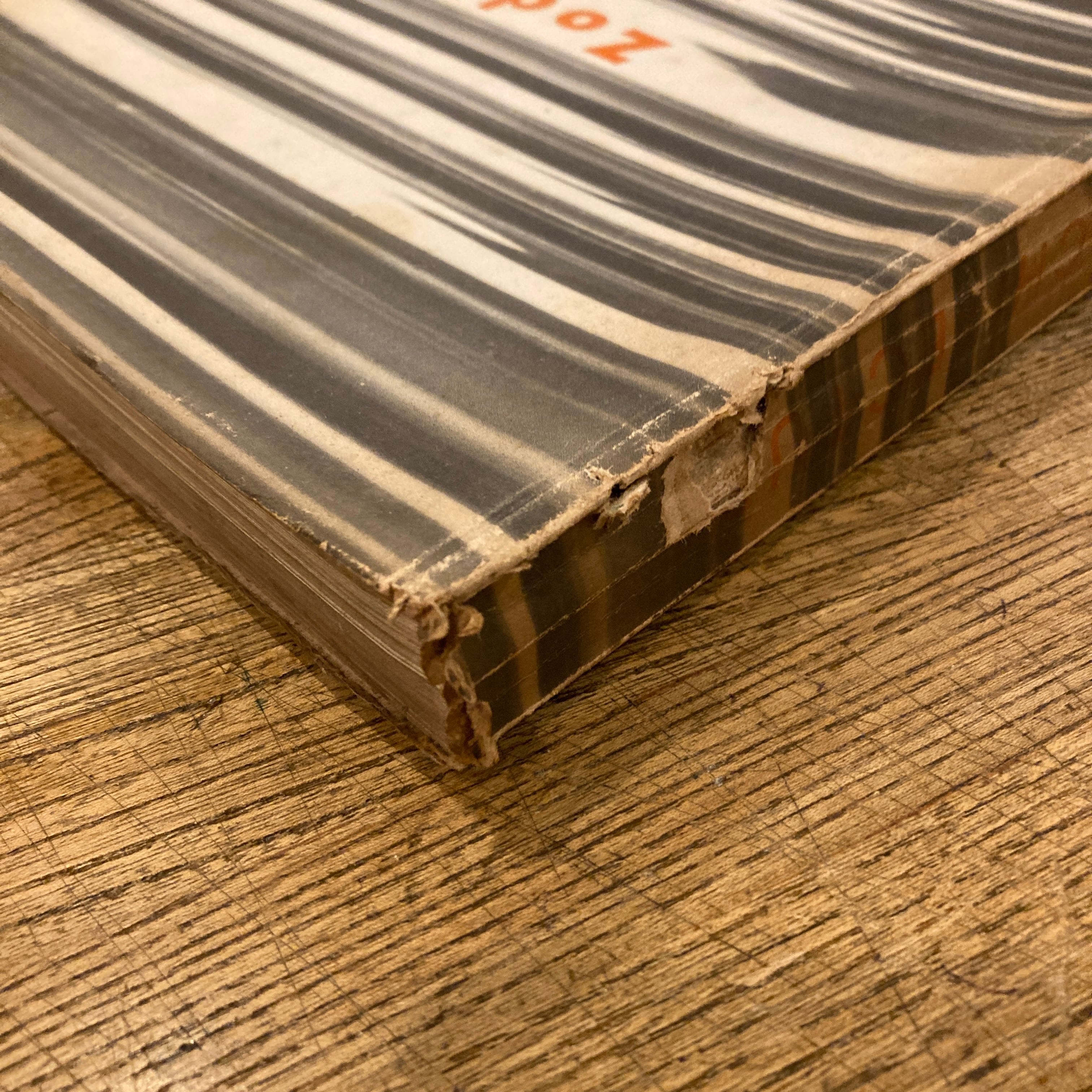 アート・デザイン・音楽 Zodiac 17 USA Architecture Zodiac #17 USA ARCHITECTURE Frank Lloyd Wright 1867-1967