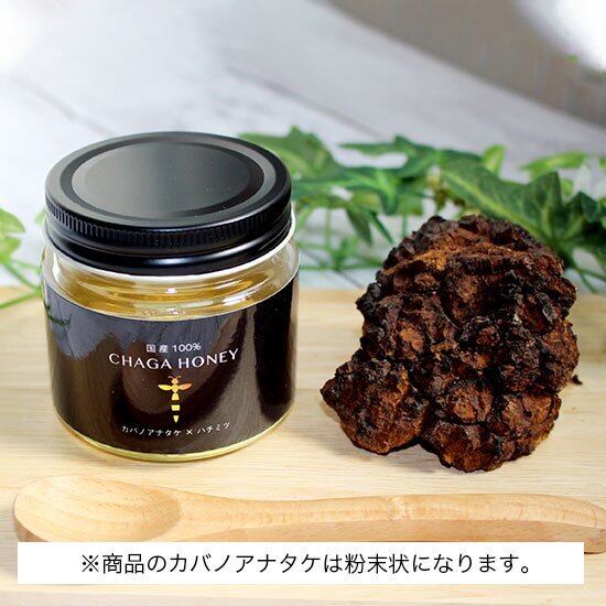 CHAGA HONEY 102g／チャーガハニー | 五縁活力館