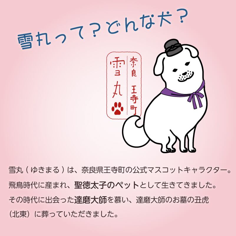 雪丸 ウォールマグタンブラー 350ml | 合同会社三方物産