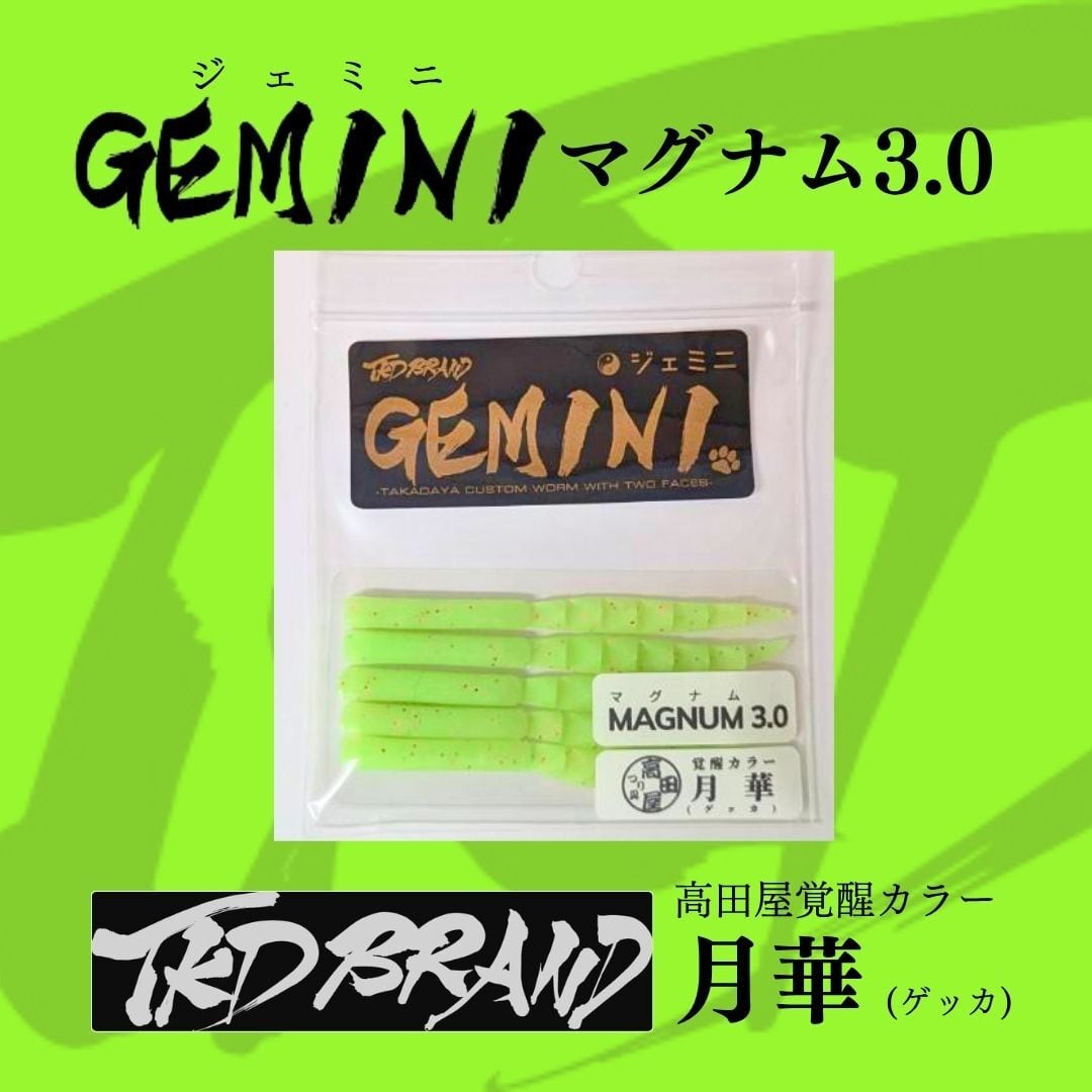 漁港ワームlv.2 八雲（ヤクモ）高田屋覚醒カラー レベロク×高田屋