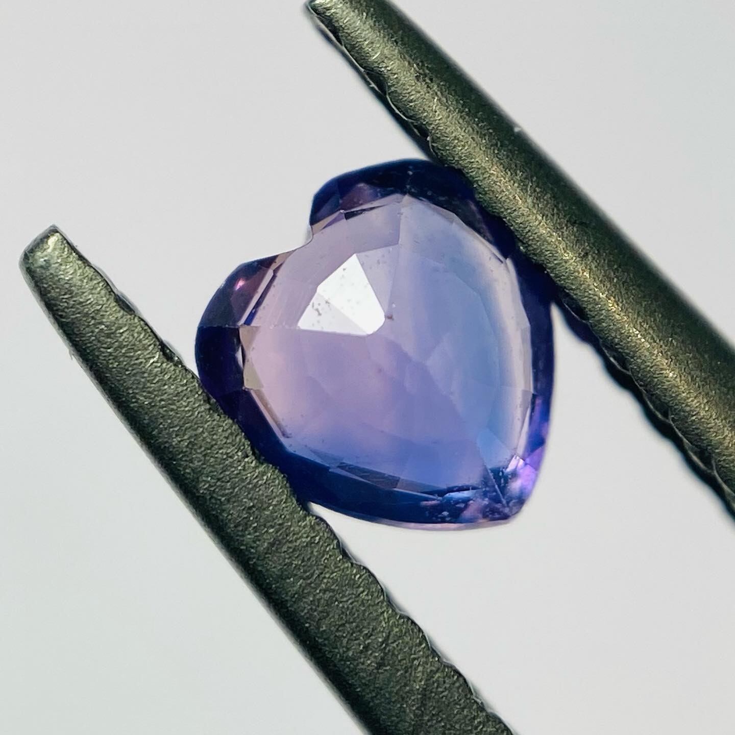 朝焼け花びら　サファイア