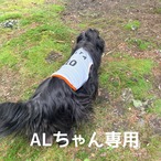 ALちゃん専用