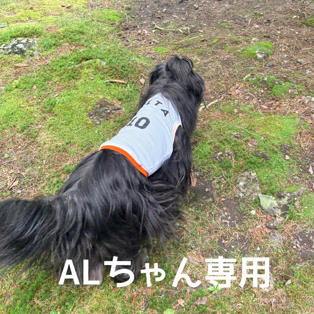 ALちゃん専用