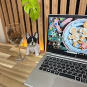 \ 公式ショップ限定価格❣️/ 《最新2025年製》HP EliteBook 630 G10 メモリ16GB SSD256GB 第13世代 ノートパソコン 安心サポート&3ヶ月保証付き