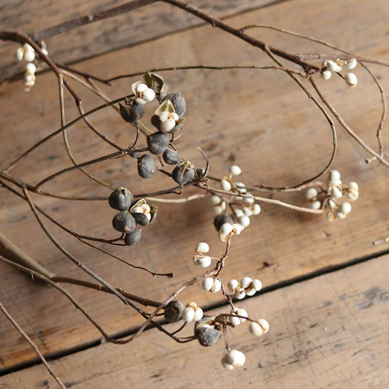 大枝・ロング】 ナンキンハゼの木 ドライフラワー / 国産 花材