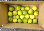 レモン　3kg