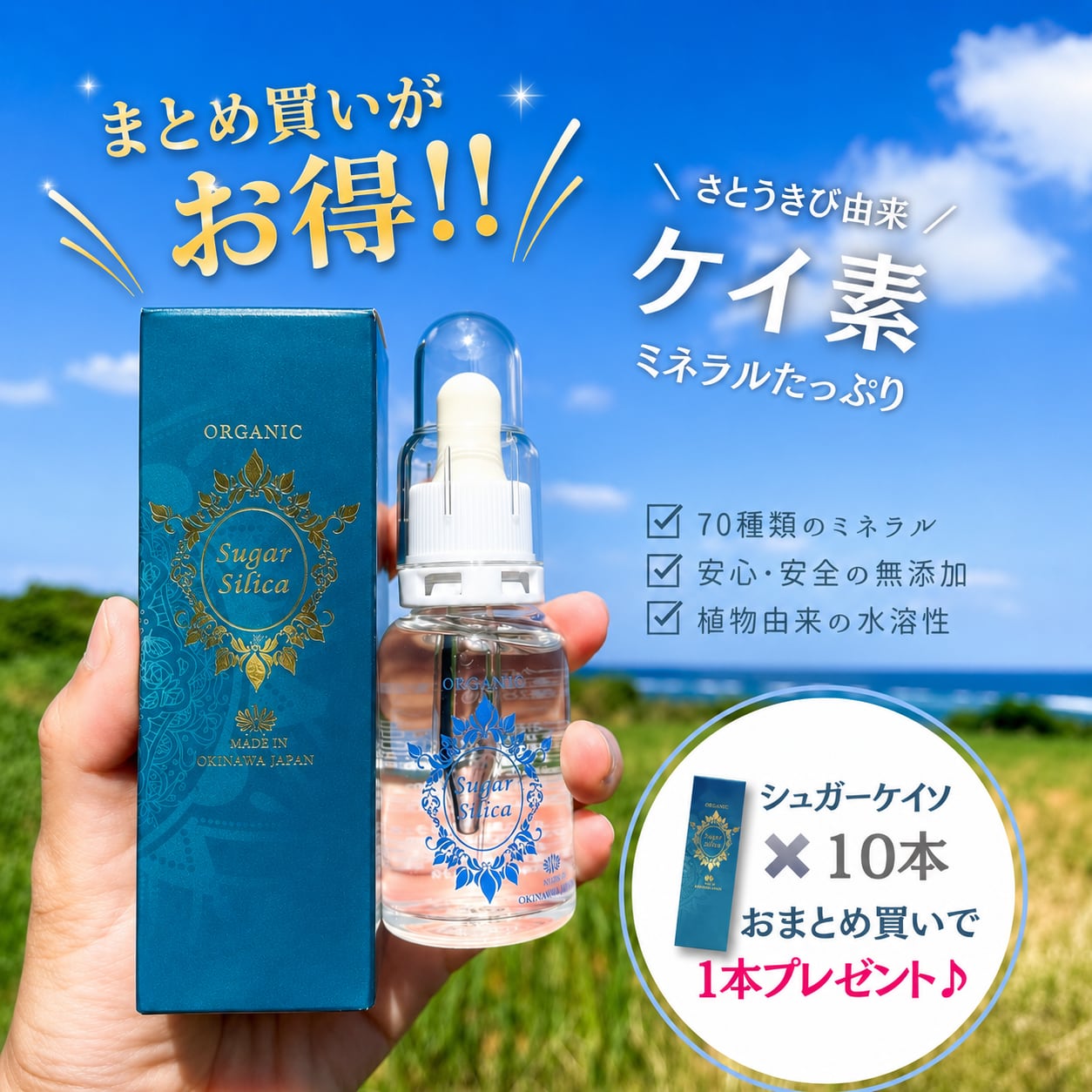 シュガーケイソ10本+1本無料プレゼント