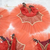 バレエ 衣装 まとめ売り 5点セット チュチュ 赤 コンクール 発表会 ドンキ キトリ エスメラルダ ブラウン系 レッド系 オレンジ系 ジュニア 子供 赤いチュチュ 発表会衣装 コンクール衣装 セット販売 ダンス衣装 子供用バレエ衣装 ベロア素材 キトリ衣装 エスメラルダ衣装 コンクール用衣装 バレエセット まとめ売り衣装 ジュニア衣装