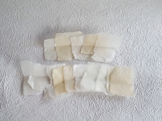 内藤瑠里　和紙の義眼 ” 石の義き眼  04 "