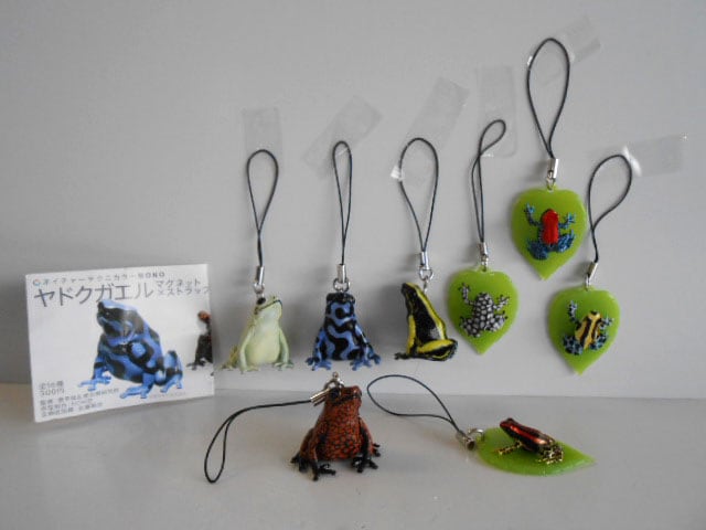♯Hoi26Hj ネイチャーMONOヤドクガエル1ストラップマグネット16種