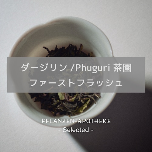 ダージリン/Phuguri茶園 ファーストフラッシュ