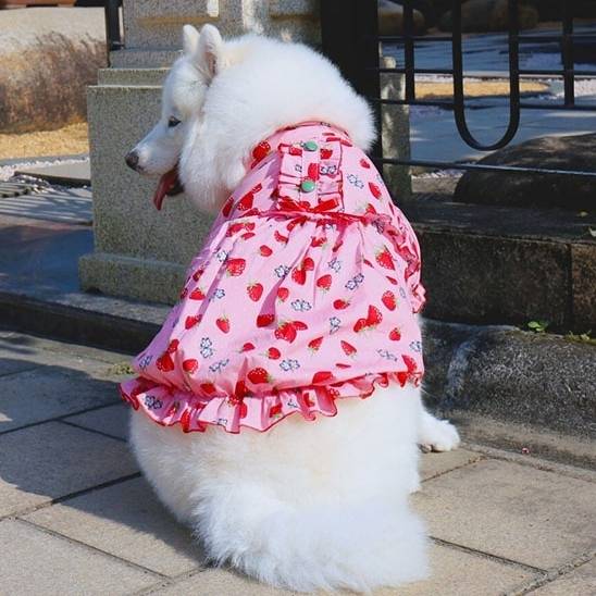 ピンクのイチゴ柄ワンピース