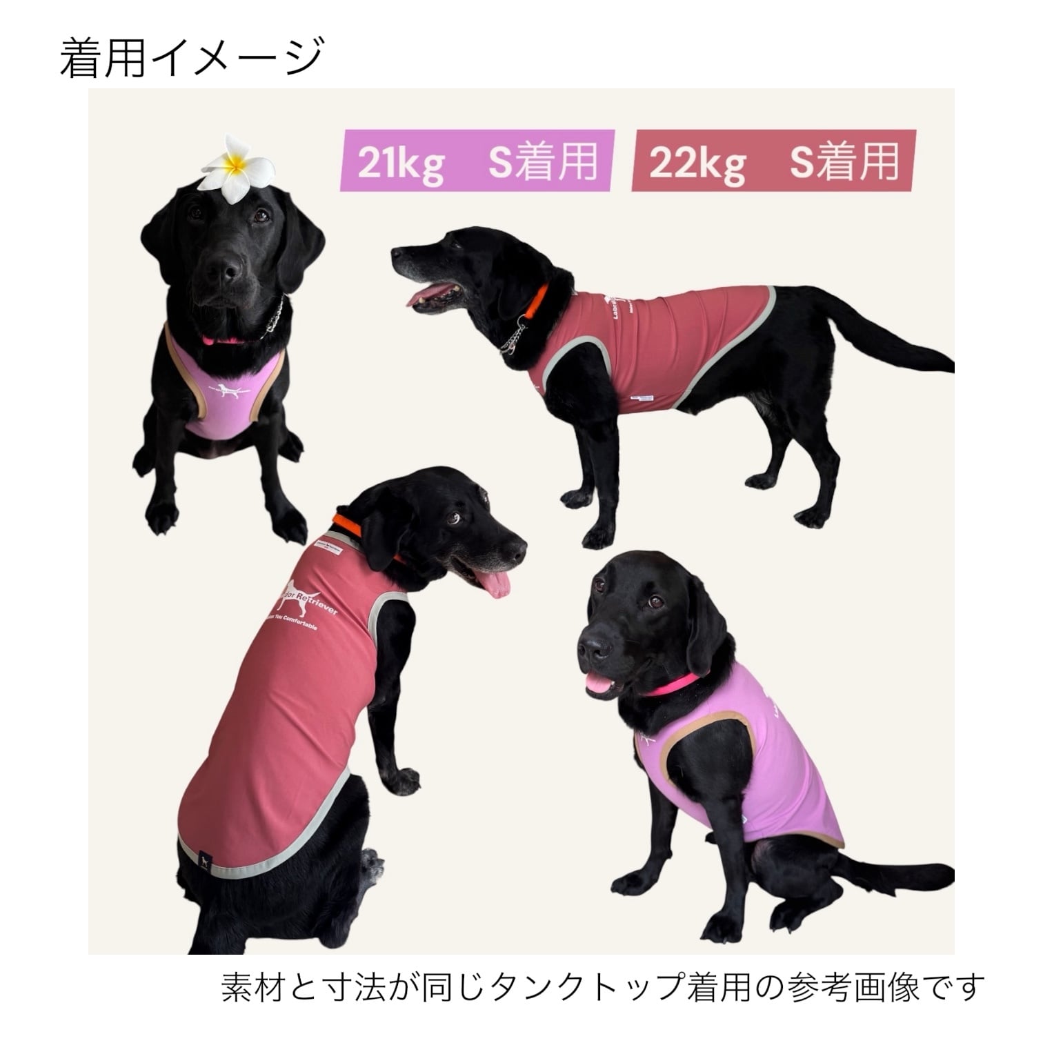 DOG】Smile Happy タンクトップ〈TIGHT FIT〉（大型犬用） | PAY ID