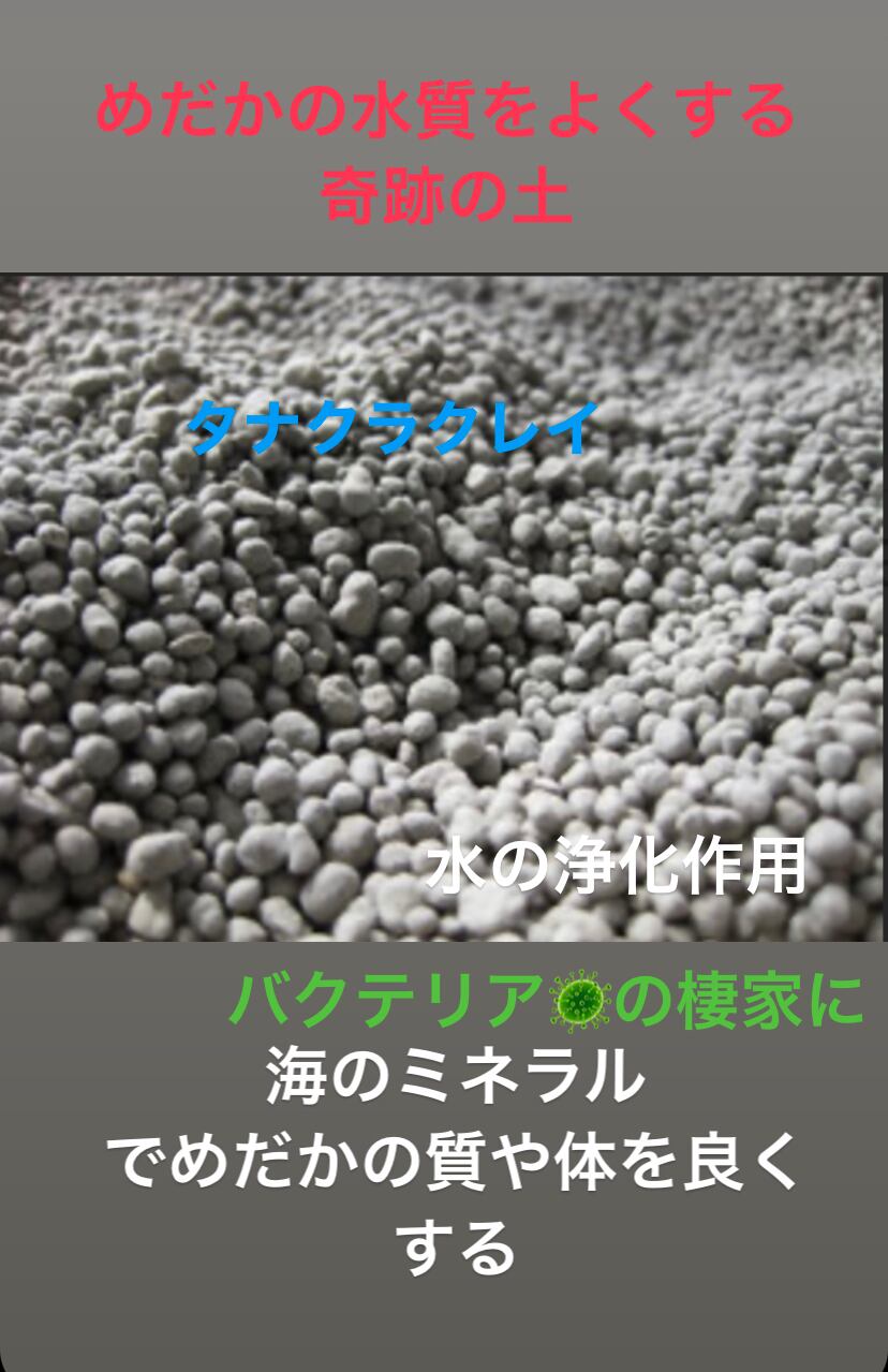 遠野の霊石さざれ500g 高波動！高浄化！保冷＆保遠効果！赤外線